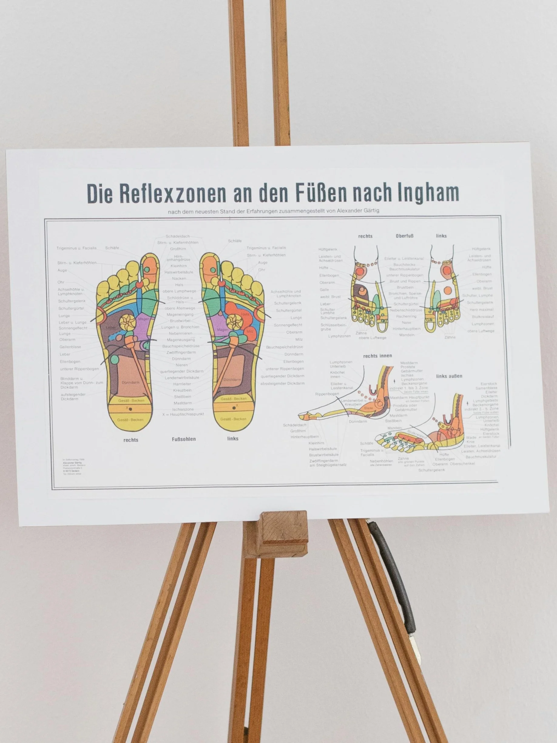 Eine Fussreflexzonen-Tafel auf einem Holzständer, die die Reflexzonen zeigt