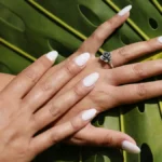 Studioaufnahme frischer Acrylnägel in Mandelform und Nude-Ton vor einem Palmblatt-Hintergrund