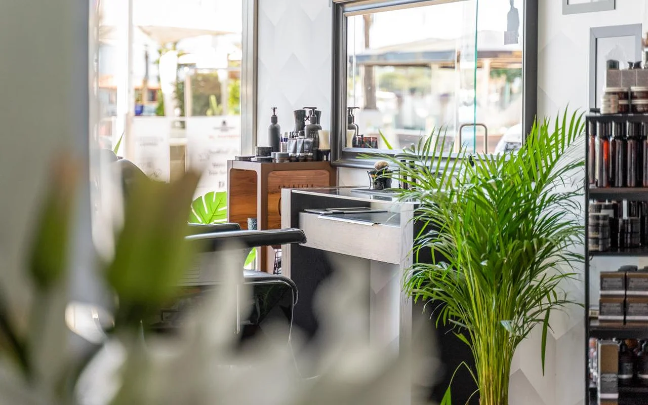 Ein Styling-Platz eines Salons, erspäht hinter üppigen grünen Pflanzen, mit Pflegeprodukten auf einer Holztheke und Regalen und hellem Tageslicht, das durch das Fenster dahinter fällt.